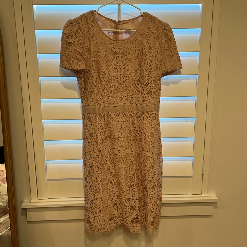 Rachel Parcell Lace dress